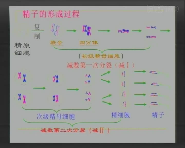 快发数九歌教案_数九歌教案怎么写_数九歌 ppt